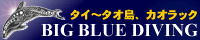 BIG BLUE